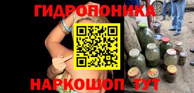 Альфа ПВП Лесосибирск