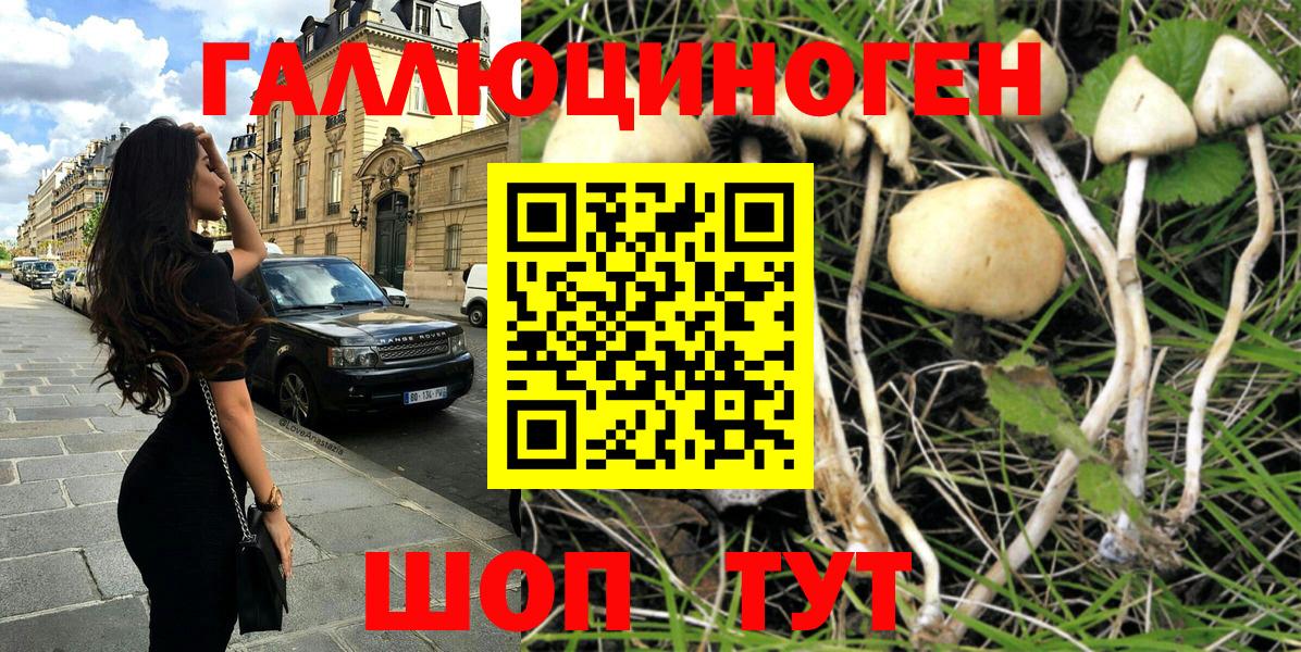Галлюциногенные грибы Cubensis Ивантеевка