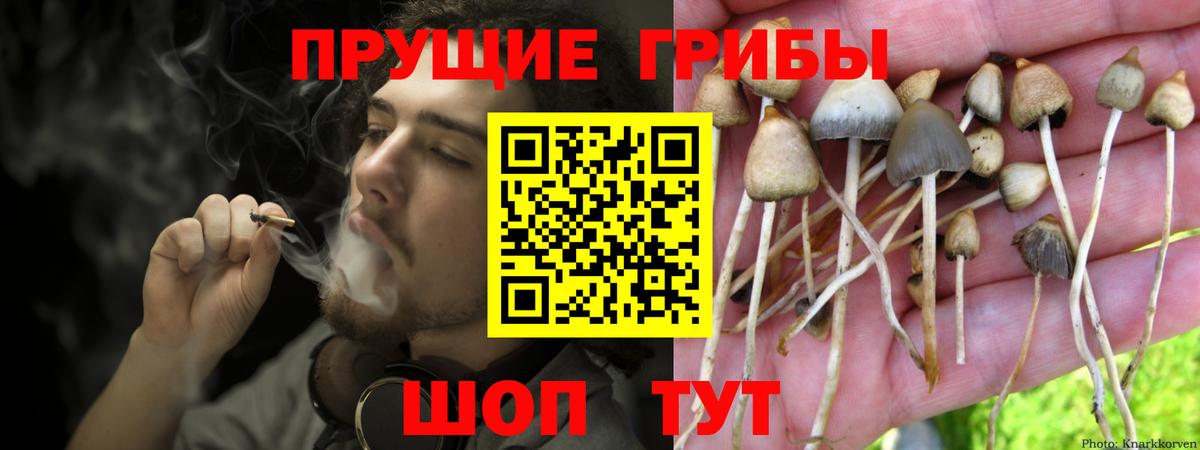 Галлюциногенные грибы Psilocybine cubensis  цена наркотик  Ивантеевка  Вход с VPN  Галлюциногенные грибы Magic Shrooms 